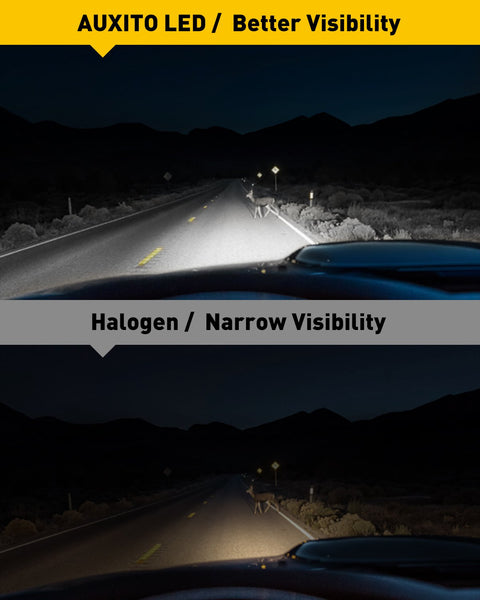 9006 HB4 LED Fog Light Bulbs, 6500K Cool White with CSP LED Chips